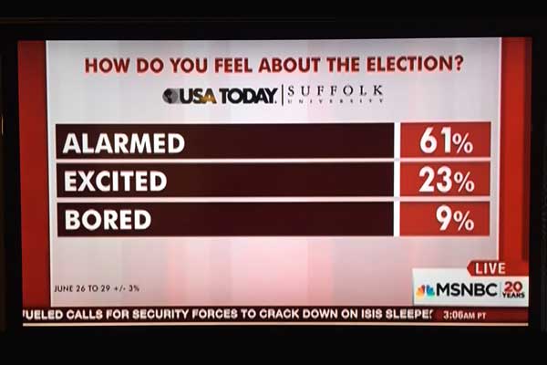 Voter poll shows 63 percent alarmed and 9 percent bored with the election and only 23 percent are excited.